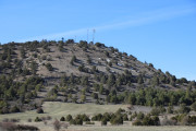 2019_02_soria_perro_014