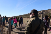 2019_02_soria_perro_016