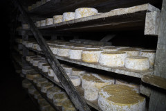 2023_08_cueva_campo_009