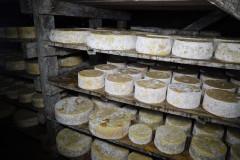 2023_08_cueva_campo_010