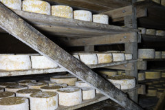 2023_08_cueva_campo_032