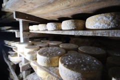 2023_08_cueva_campo_067