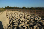 2018_10_raventos_bodega_011