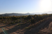 2018_10_raventos_bodega_013