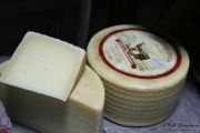 2014_03_oveja_jarradilla_017