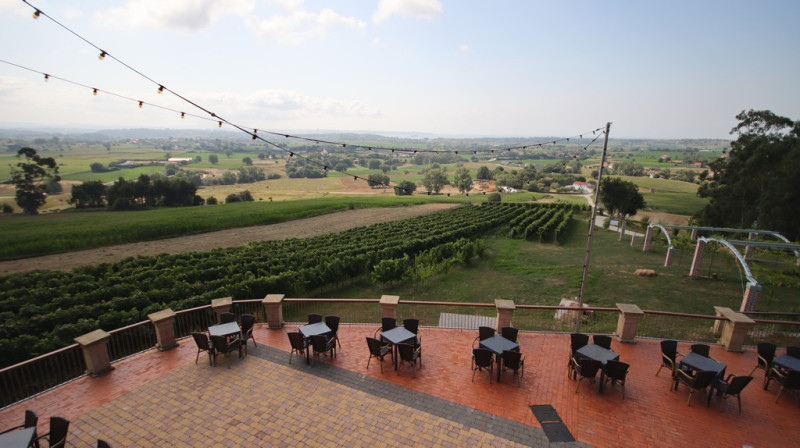 08_2026_vinos_galeria_005