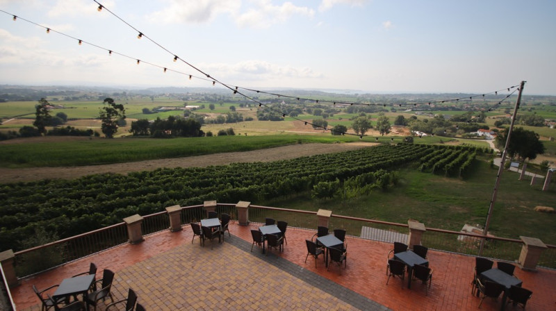 08_2026_vinos_galeria_006