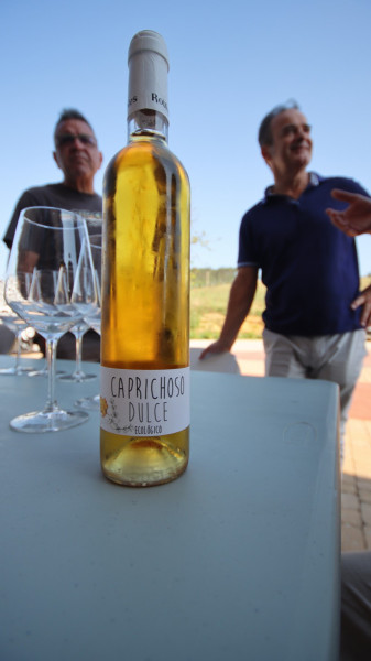 08_2026_vinos_galeria_007