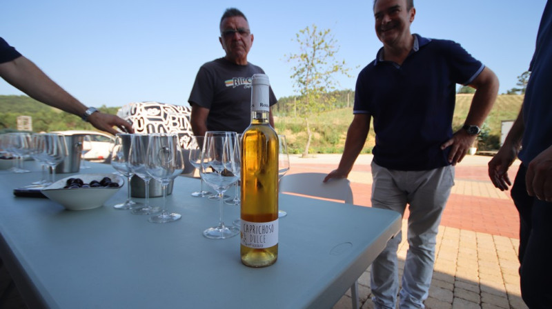 08_2026_vinos_galeria_008