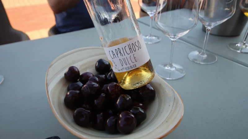 08_2026_vinos_galeria_014