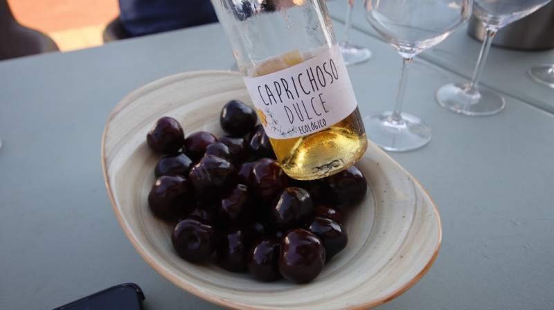 08_2026_vinos_galeria_015