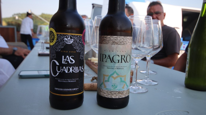 08_2026_vinos_galeria_026