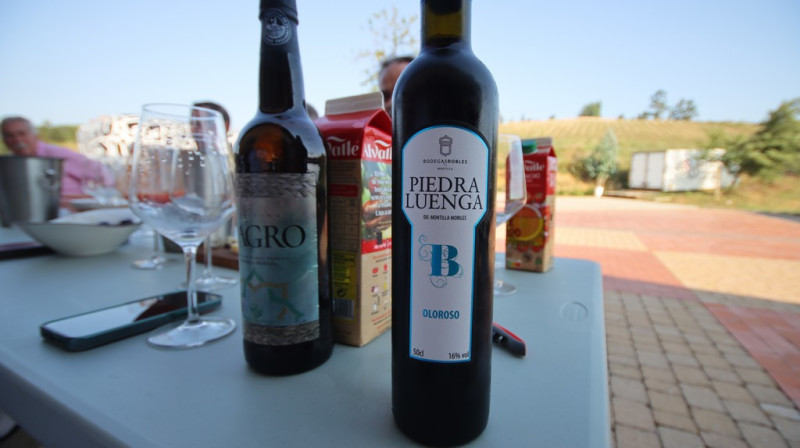 08_2026_vinos_galeria_040
