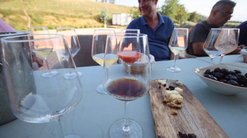 08_2026_vinos_galeria_041