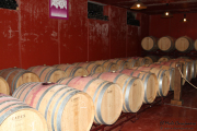 2016_04_queso_pan_vino_005