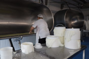 2024_07_cudana_cheese_018