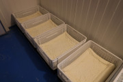 2024_07_cudana_cheese_026