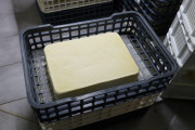 2024_07_cudana_cheese_035