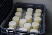 2024_07_cudana_cheese_040