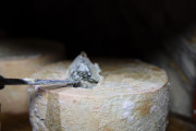 12_2024_providencia_cueva_021