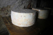 12_2024_providencia_cueva_048