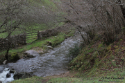 camino_cascadas_lamina_010