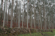 camino_cascadas_lamina_018