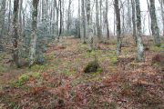 camino_cascadas_lamina_026
