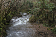 camino_cascadas_lamina_028