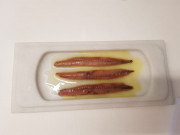 amos_evoque_1280_003