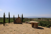 08_2026_paganos_bod_001