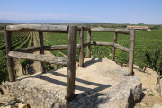 08_2026_paganos_bod_002