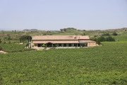 08_2026_paganos_bod_003