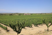 08_2026_paganos_bod_004