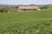08_2026_paganos_bod_005