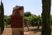 08_2026_paganos_bod_006