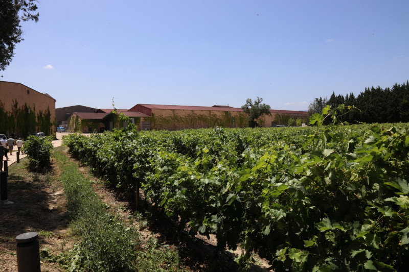 2025_06_faustino_visi_013