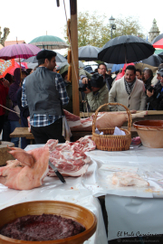 2014_11_casar_periedo_019