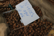 2014_11_casar_periedo_028