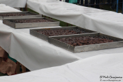 2014_11_casar_periedo_036