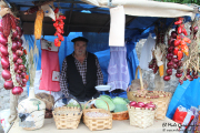 2014_11_casar_periedo_055