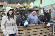 2014_11_casar_periedo_081