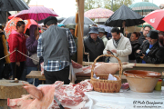 2014_11_casar_periedo_118