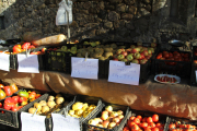 2015_11_casar_periedo_065