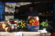 2015_11_casar_periedo_068