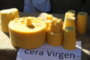 2015_11_casar_periedo_134