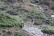 2015_10_finde_liebana_berrea_007