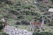 2015_10_finde_liebana_berrea_008