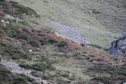 2015_10_finde_liebana_berrea_016