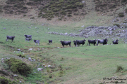 2015_10_finde_liebana_berrea_018